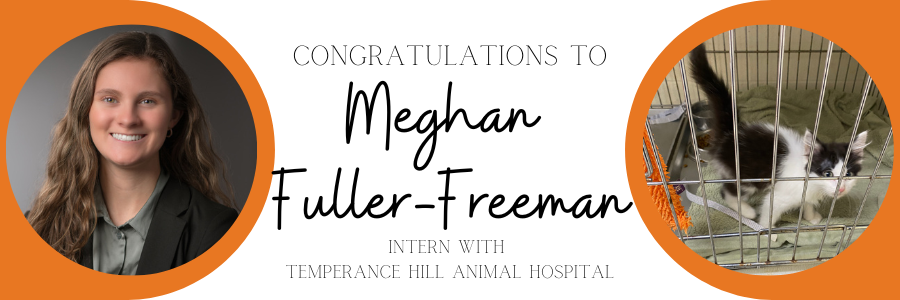Internship_Highlights_Fuller-Freeman, Megan